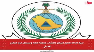 حريق الباحة يلتهم أشجار وأعشاب منطقة جبلية ويستنفر فرق الدفاع المدني